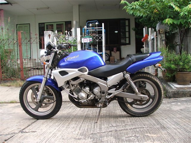 Yamaha Rider 250